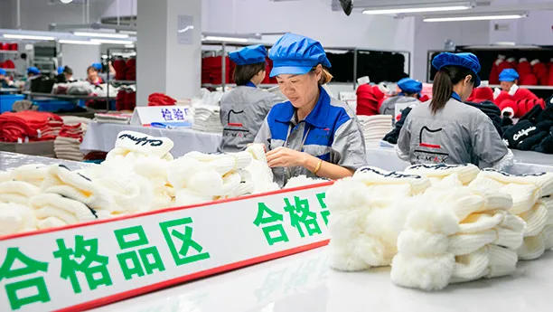 포장 및 분류 작업